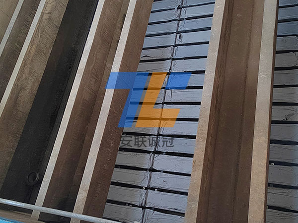 臭氧催化池S型濾磚安裝施工